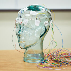 EEG Tech glass head with electrodes