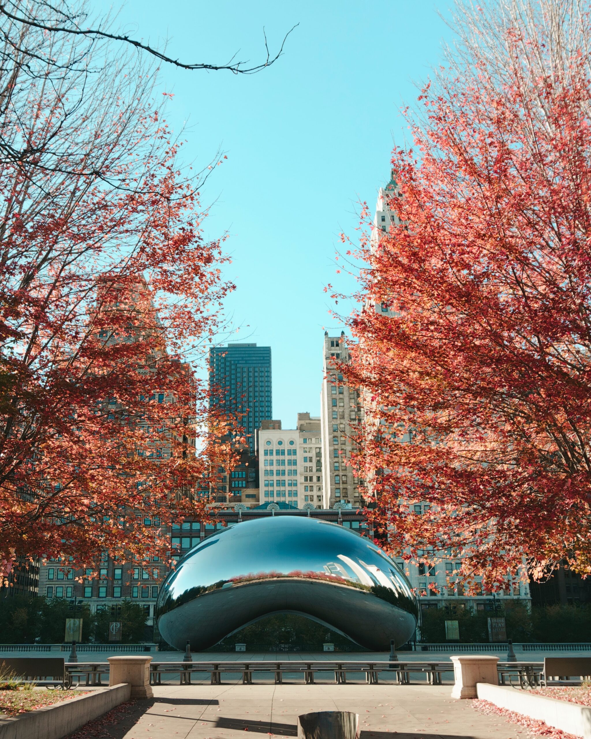 A distant image of the Bean in Chicago